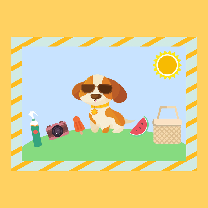 5 Pet-Friendly Summer Activities For You and Your Pets