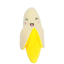 Load image into Gallery viewer, Cuddle Buddies- Soft Plush Chew Toys for Dogs