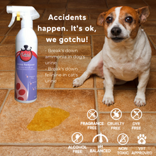 Load image into Gallery viewer, Fetch! Natural Persimmon Pet Urine Remover - Fetch! Naturals