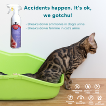 Load image into Gallery viewer, Fetch! Natural Persimmon Pet Urine Remover - Fetch! Naturals