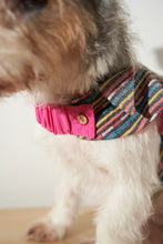 Load image into Gallery viewer, Fetch x Bayo: The Preppy Cape