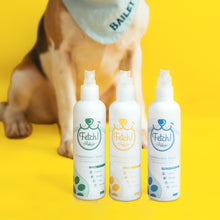 Load image into Gallery viewer, Fetch! Indulge Conditioning Serum Group Photo