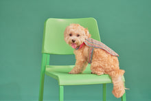 Load image into Gallery viewer, Fetch x Bayo: The Preppy Cape