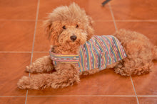 Load image into Gallery viewer, Fetch x Bayo: The Play Poncho