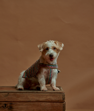 Load image into Gallery viewer, Fetch x Bayo: The Play Poncho