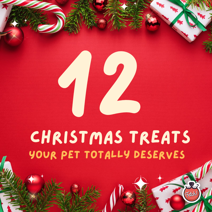 12 Christmas Treats Your Pet Totally Deserves