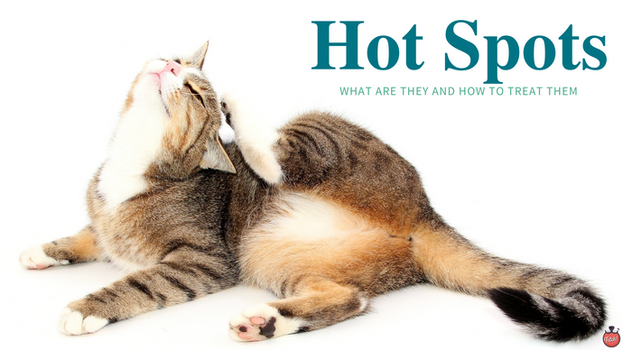 What Are Hot Spots and How to Treat Them?