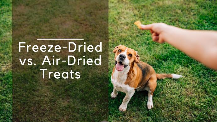 Freeze-Dried Treats versus Air-Dried Treats: What’s Better?
