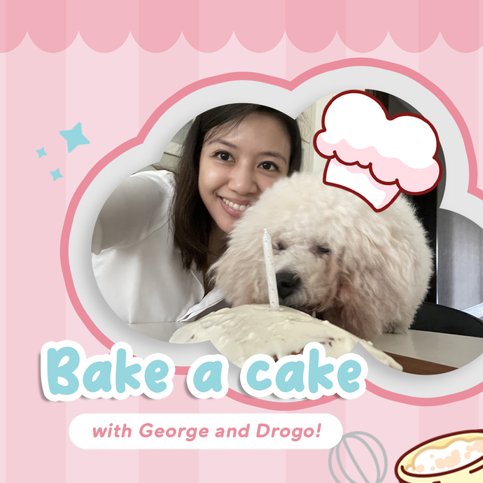 George and Drogo Invite Us in for an Afternoon of Baking