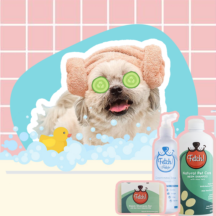 Adding Fluff to Baff: Guide to a DIY Spa Day with Fetch! Naturals
