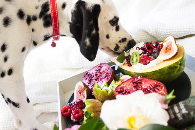 Yum! Human Foods That are Safe for Dogs