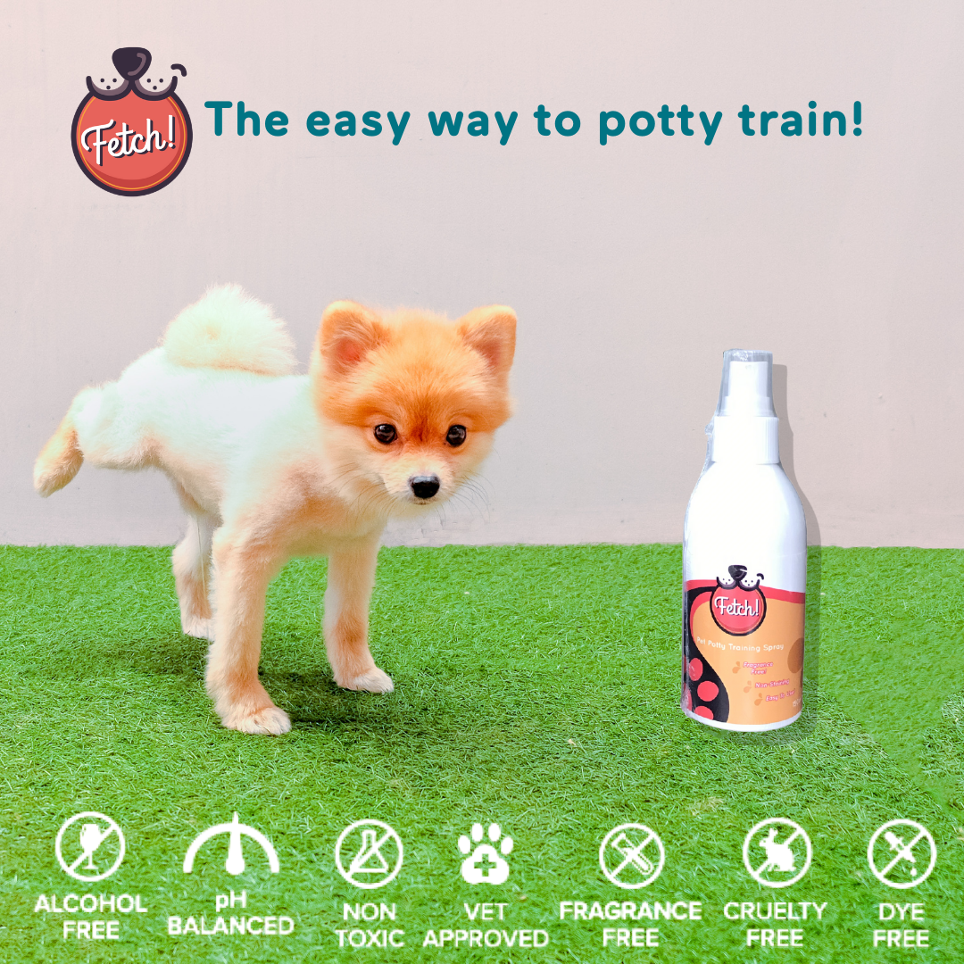 Fetch! Dog Potty Training Spray – Fetch! Naturals