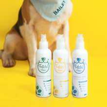 Load image into Gallery viewer, Fetch! Indulge Conditioning Serum Group Photo
